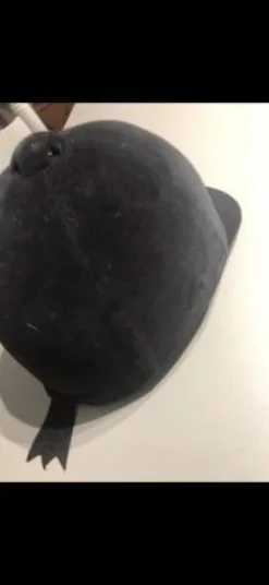 Bombe équitation fouganza