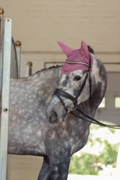 Bonnet anti-mouches Crystal Heritage 2025 - Eskadron