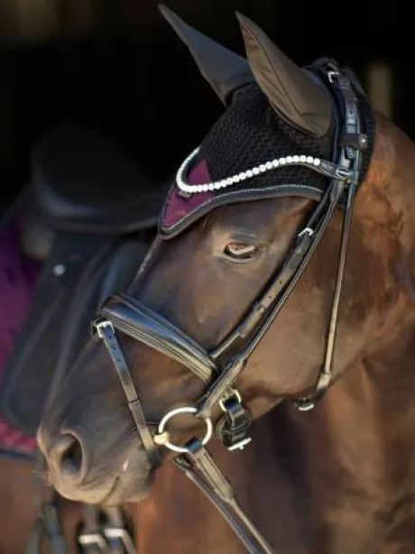 Bonnet anti-mouches Modern Purple Night - Equestrian Stockholm