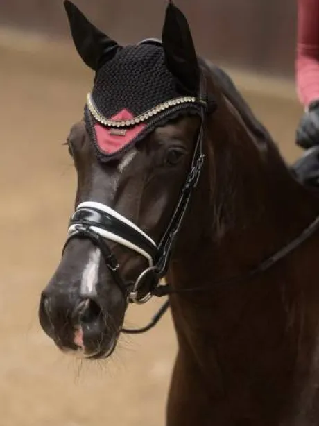 Bonnet anti-mouches Soft Rouge - Equestrian Stockholm