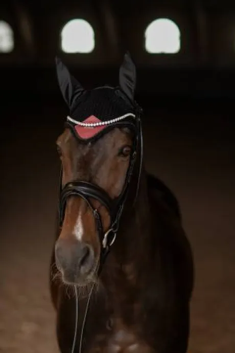 Bonnet anti-mouches Soft Rouge - Equestrian Stockholm