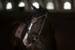 Bonnet anti-mouches Sportive Mocha - Equestrian Stockholm