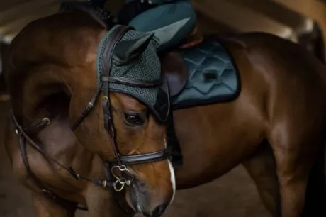 Bonnet anti-mouches Sycamore Green - Equestrian Stockholm