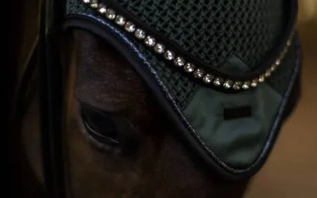 Bonnet anti-mouches Sycamore Green - Equestrian Stockholm