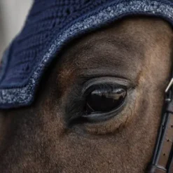 Bonnet anti-mouches Wellington Glitter Stone - Kentucky