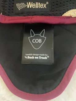 Bonnet back on track