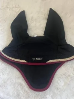 Bonnet back on track