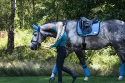 Bonnet Bleu canard - Pool Party - Equito