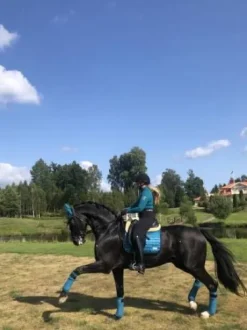 Bonnet Bleu canard - Pool Party - Equito