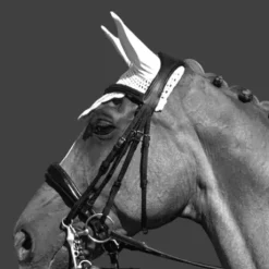 Bonnet cheval Equico