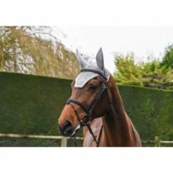 Bonnet cheval Jump in