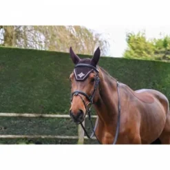 Bonnet cheval Jump in