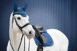 Bonnet Edition limitée 2022 Blue - Mattes