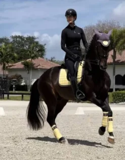 Bonnet Limoncello - Equito