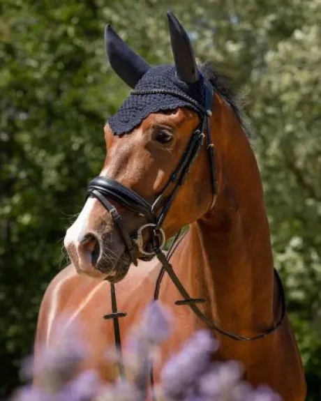 Bonnet soundless flore QHP