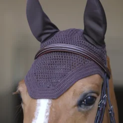 Bonnet Wellington - Kentucky