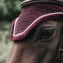 Bonnet Wellington Corduroy - Kentucky