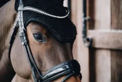 Bonnet Wellington Glitter Band - Kentucky