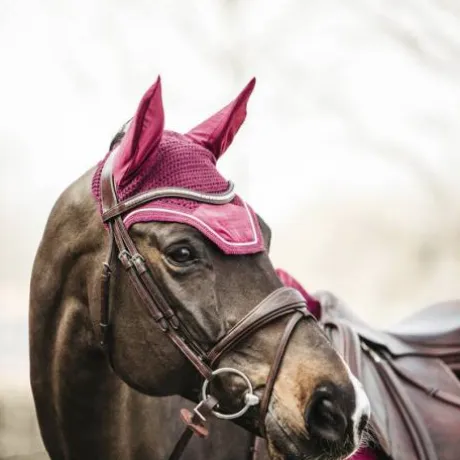 Bonnet Wellington Velvet Fuchsia - Kentucky