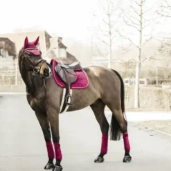 Bonnet Wellington Velvet Fuchsia - Kentucky