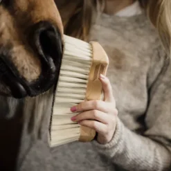Bouchon à poils doux - Kentucky