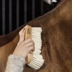 Bouchon à poils doux - Kentucky
