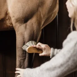 Bouchon dur - Kentucky