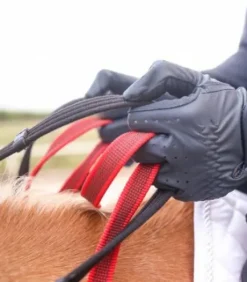 Bricole avec rênes sécurité Secutrust Waldhausen