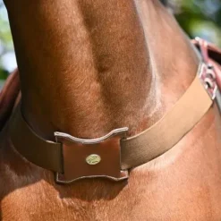 Bricole élastique - Collection Week - Jump in