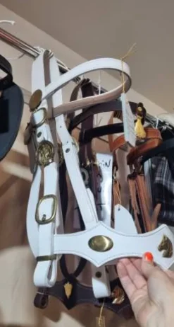 Bride cheval de trait