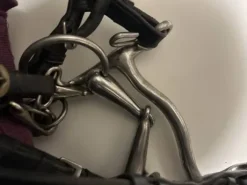 Bride complète poney