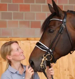 Bride de dressage doublé blanc et en cuir vernis Dy'on