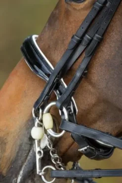 Bride de dressage Weymouth HFI