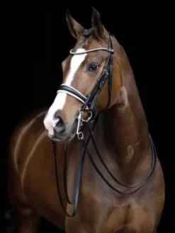 Bride dina noir cheval HKM