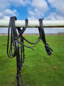 Bride dressage norton noire FS