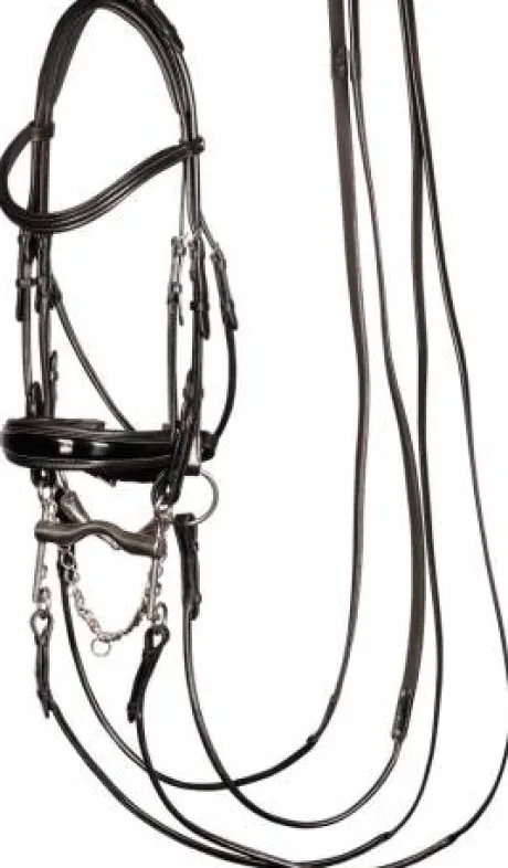 Bride grand prix Harry's horse