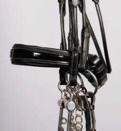 Bride grand prix Harry's horse