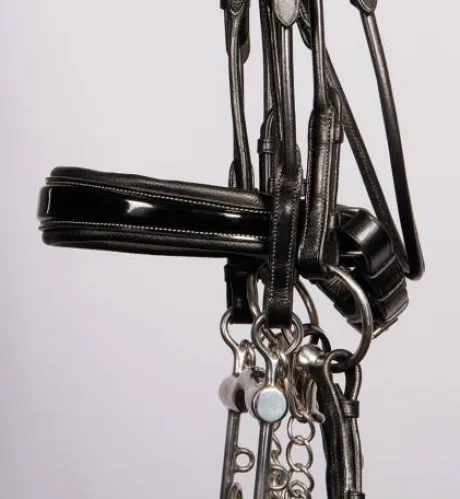 Bride grand prix Harry's horse