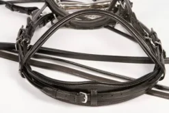 Bride grand prix Harry's horse