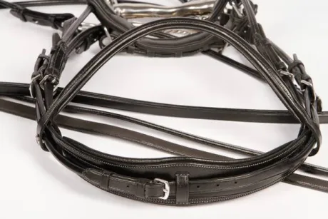 Bride grand prix Harry's horse