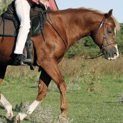 Bride sans mors Side pull Partners