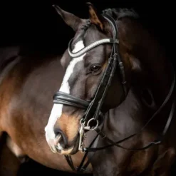 Bride Silvano Noir - SD Design