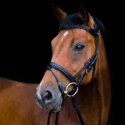 Bridon 2500 Freedom Noir - Stübben