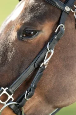 Bridon - Licol Combo HFI