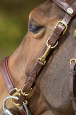 Bridon - Licol Combo HFI