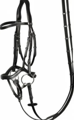 Bridon anatomic Harry horse