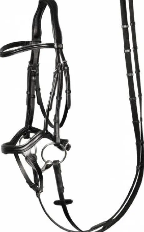 Bridon anatomic Harry horse
