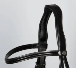 Bridon anatomic Harry horse