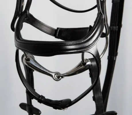 Bridon anatomic Harry horse