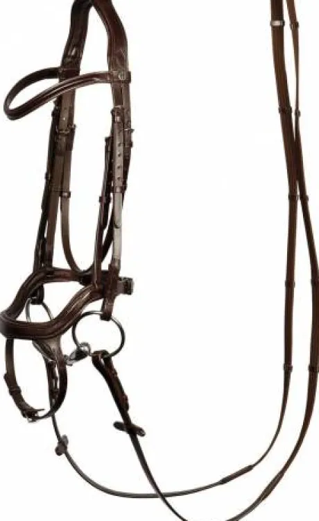 Bridon anatomic Harry horse